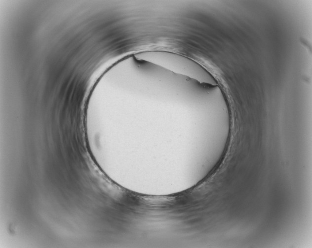 X0000102251200200808151810