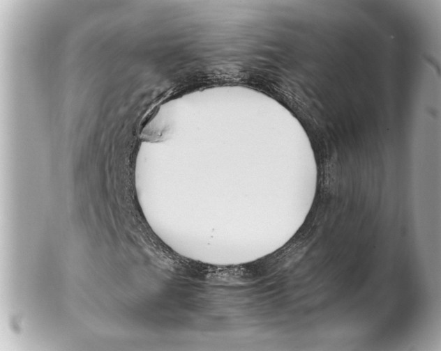 X0000102251201200808151809