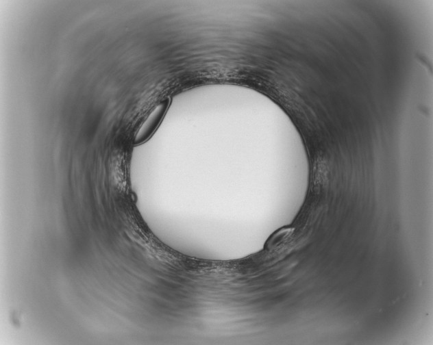 X0000102251202200808151809