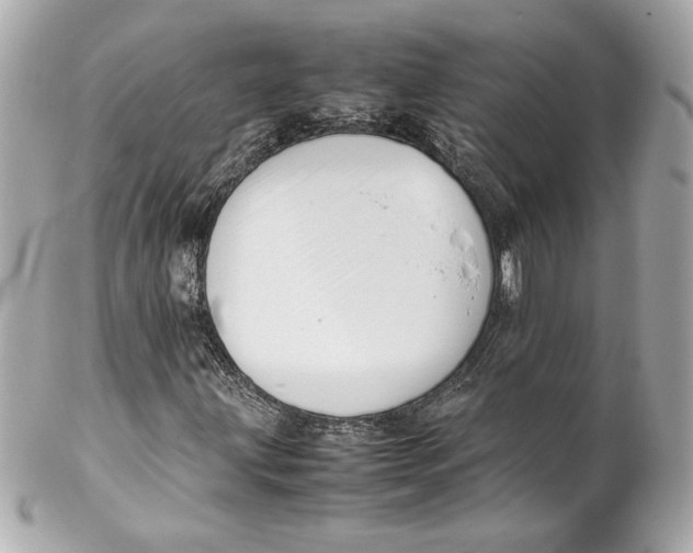 X0000102251203200808151809