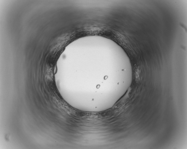 X0000102251204200808151809