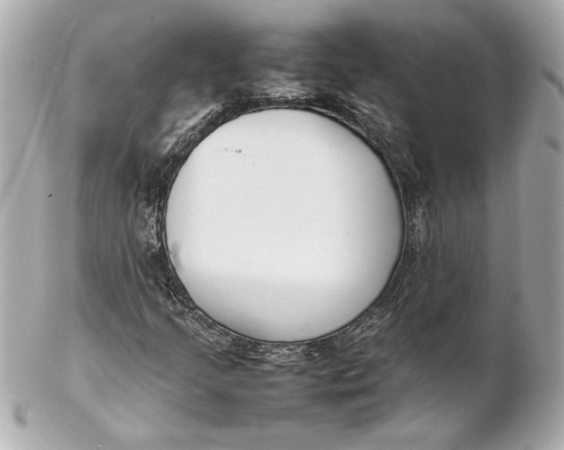 X0000102251205200808151809