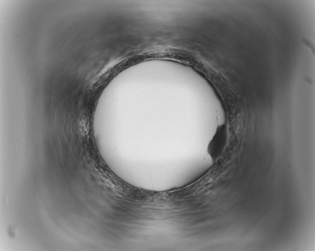 X0000102251206200808151809