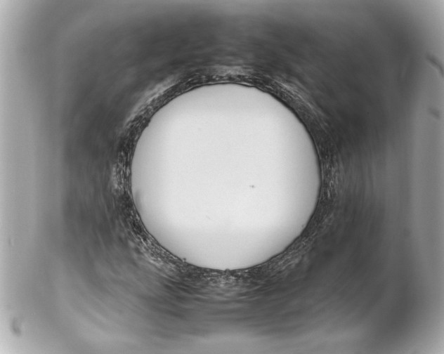 X0000102251207200808151809