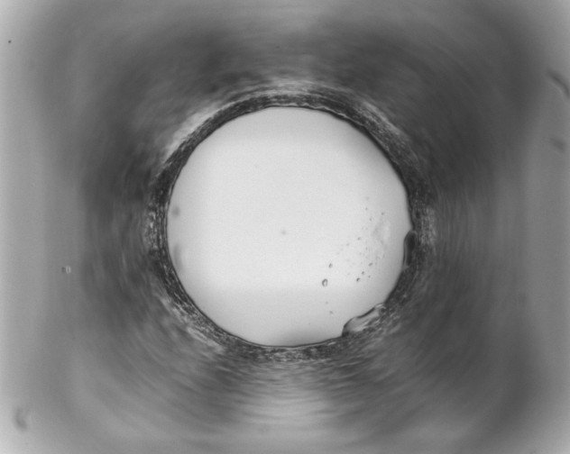 X0000102251208200808151809