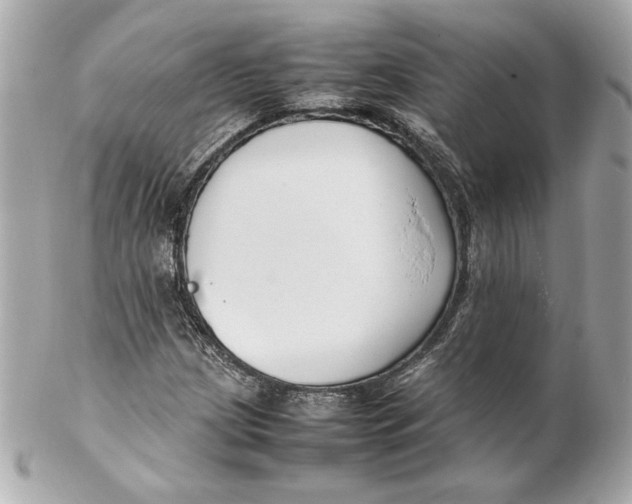 X0000102251209200808151809