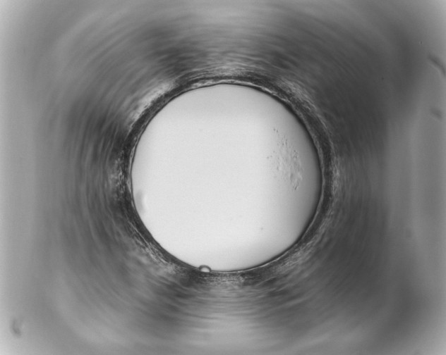 X0000102251210200808151809