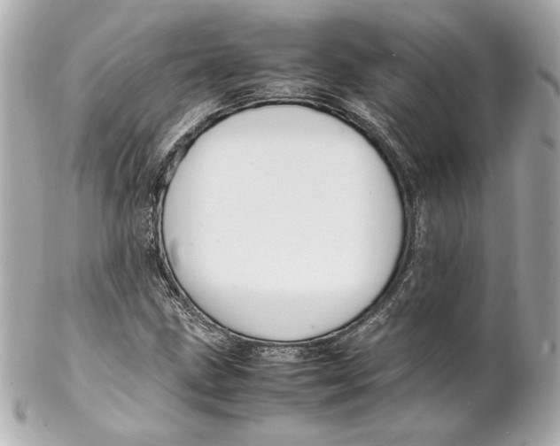 X0000102251211200808151809