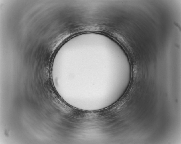 X0000102251212200808151809