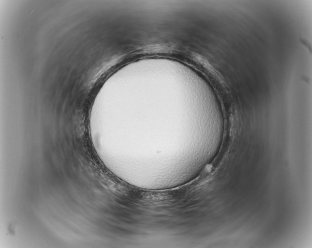 X0000102251213200808151809