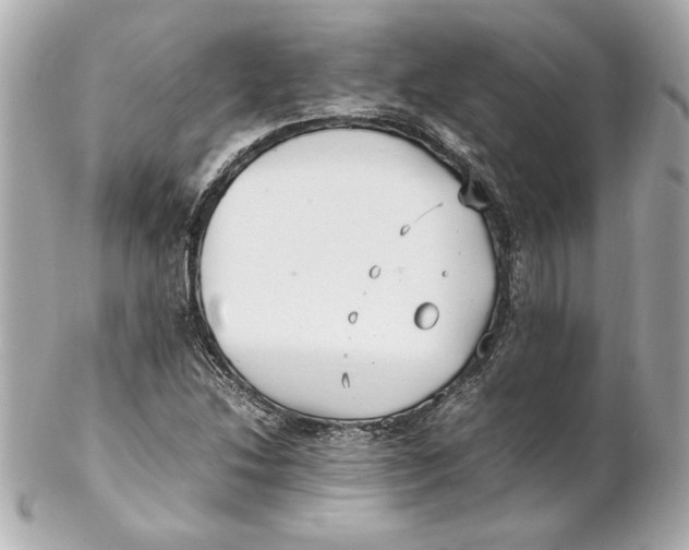 X0000102251214200808151809