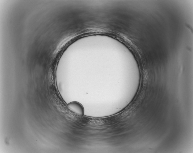 X0000102251215200808151809