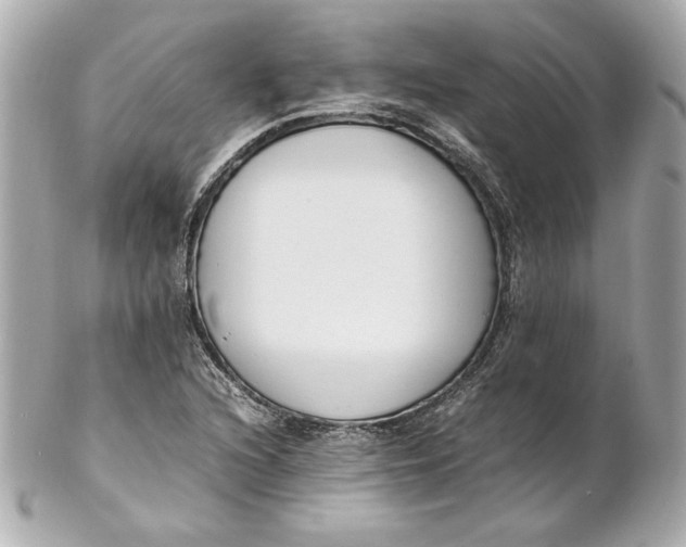 X0000102251216200808151809