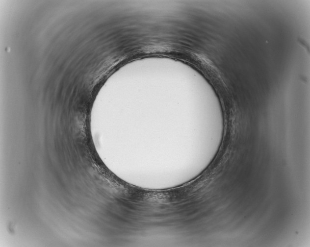 X0000102251217200808151809