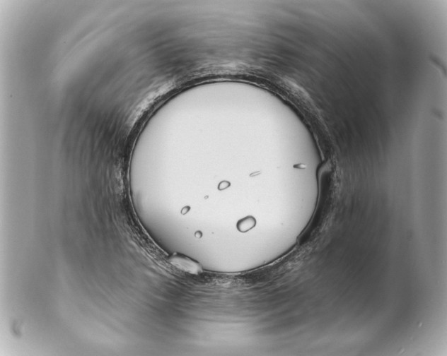 X0000102251218200808151809