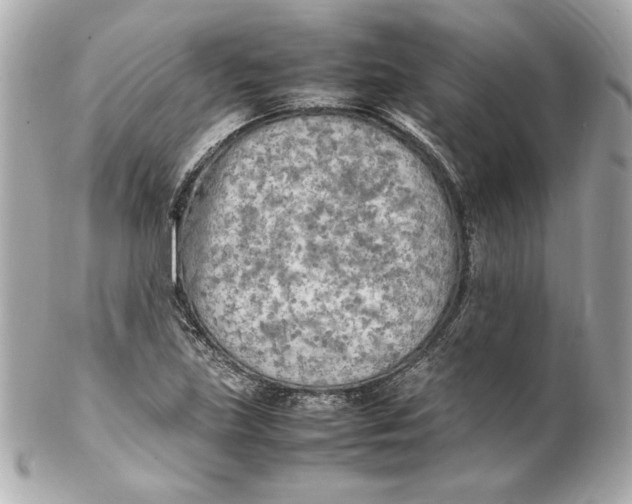 X0000102251219200808151809