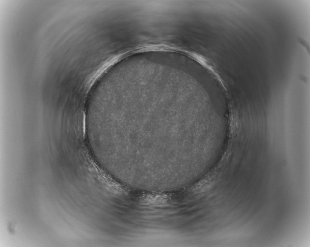 X0000102251221200808151809