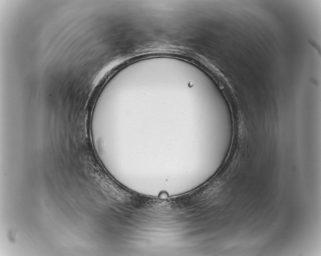 X0000102251222200808151809