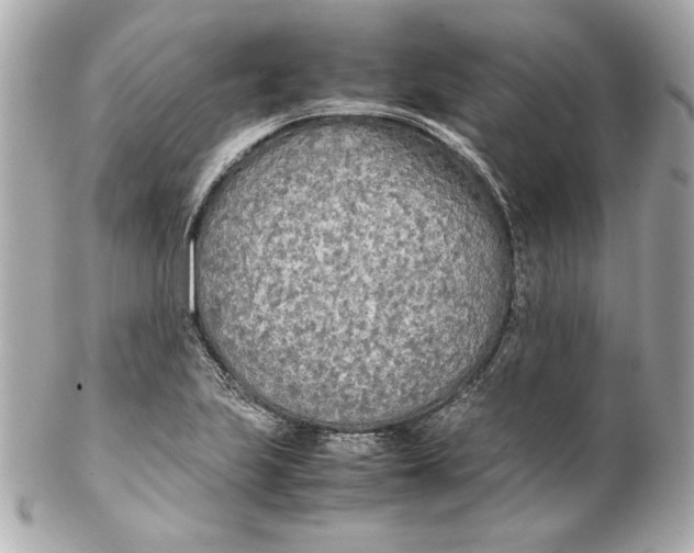 X0000102251223200808151809