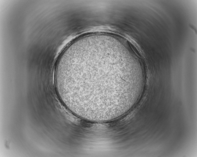 X0000102251224200808151809