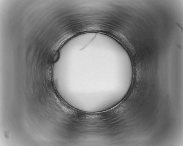 X0000102251225200808151809