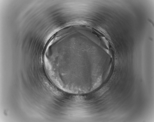 X0000102251226200808151809