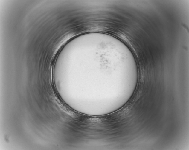 X0000102251227200808151809