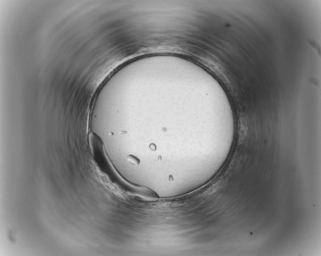 X0000102251228200808151810