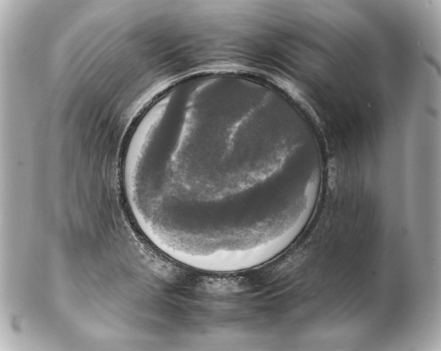 X0000102251229200808151810