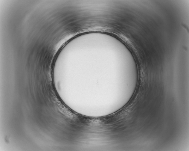 X0000102251230200808151810