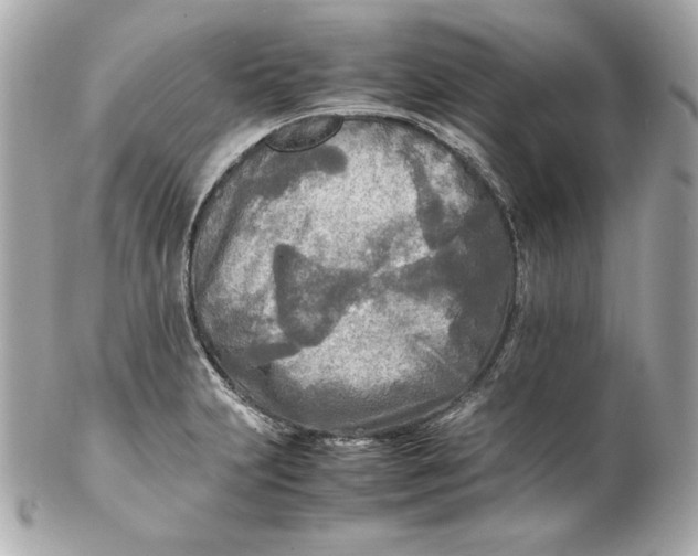 X0000102251231200808151810