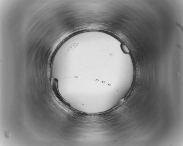 X0000102251232200808151810