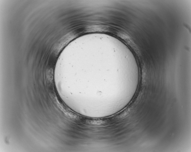 X0000102251233200808151810