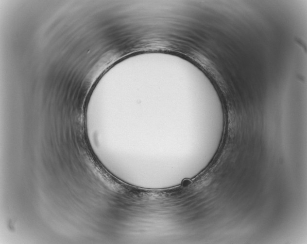 X0000102251234200808151810