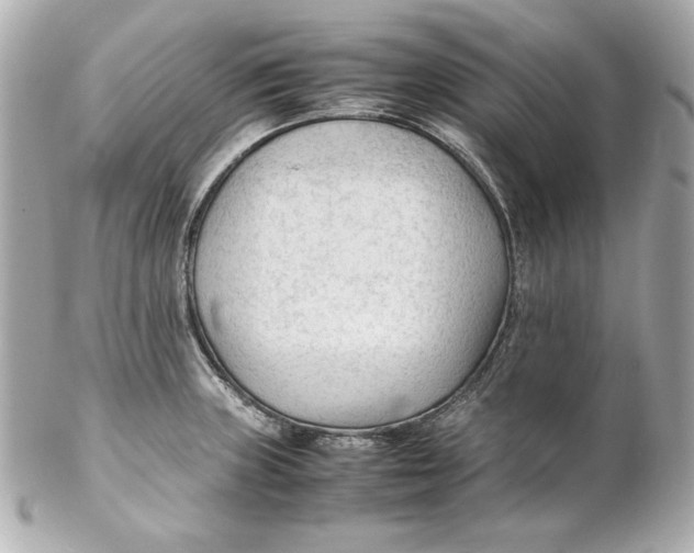 X0000102251235200808151810