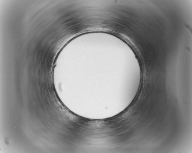 X0000102251236200808151810