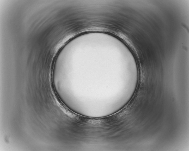 X0000102251237200808151810