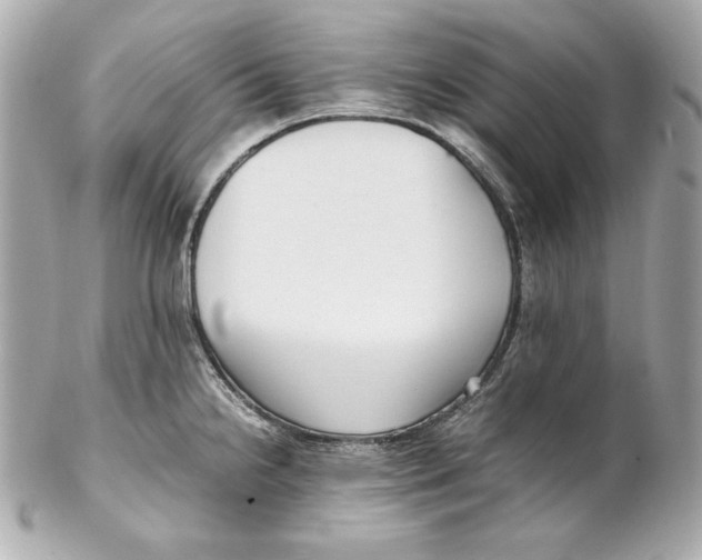 X0000102251238200808151810