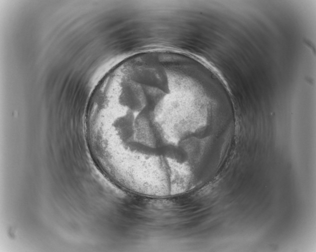 X0000102251239200808151810