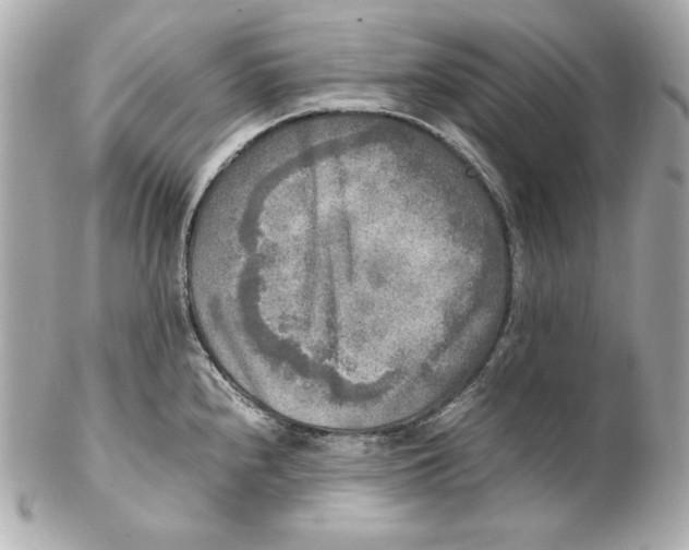 X0000102251240200808151810