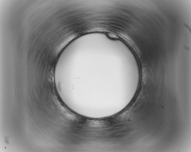 X0000102251241200808151810