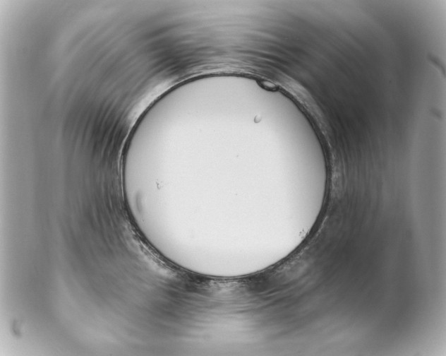 X0000102251242200808151810