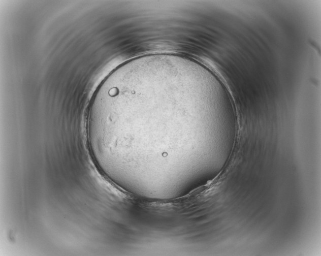 X0000102251243200808151810