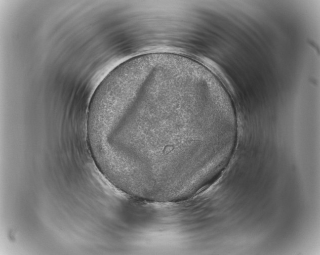 X0000102251244200808151810