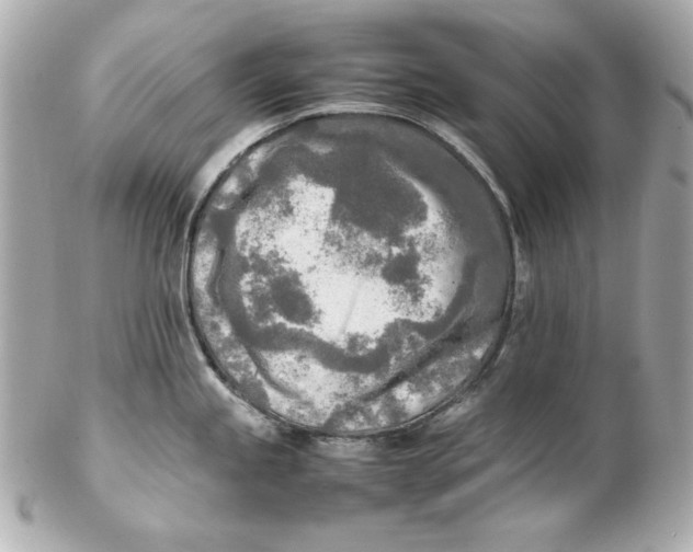 X0000102251245200808151810