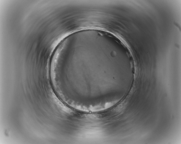 X0000102251246200808151810