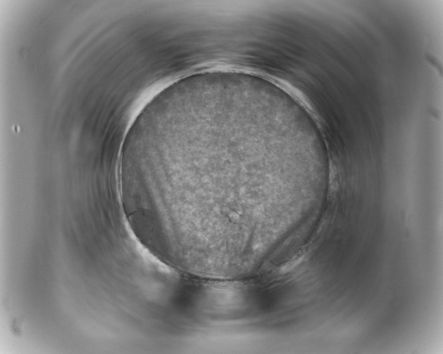 X0000102251247200808151810