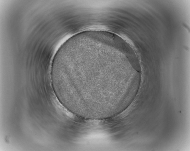 X0000102251248200808151810