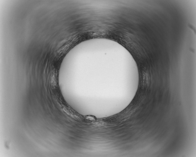 X0000102251250200808151809