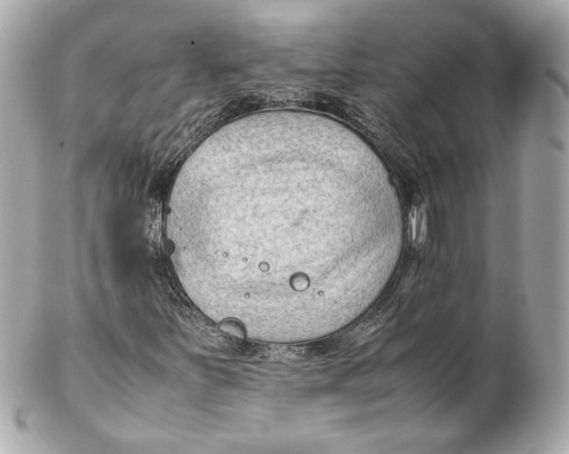 X0000102251251200808151809